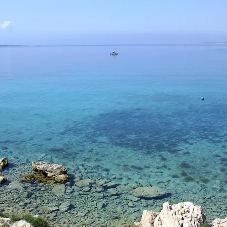 Seaside House For Families With Children Mandre, Pag - 22704 Holiday home